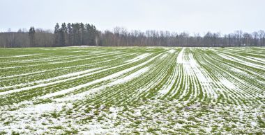 Snow and Ice Risk as cold Arctic air spreads south Sunday, lingering through next week